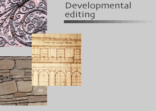 Developmental editor